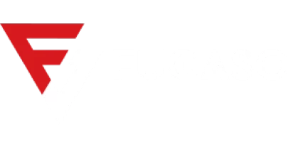 partners who work with Lotus 365